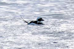 02_P1440415a2_3zu2b2