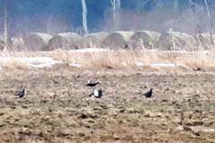 23_vlcsnap-2024-12-09-12h13m59s774a_3zu2b