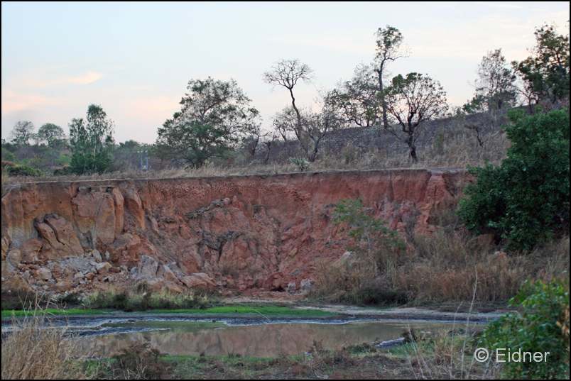 227_R2_0276_Rotkehlspint