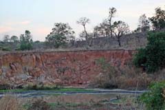 227_R2_0276_Rotkehlspint