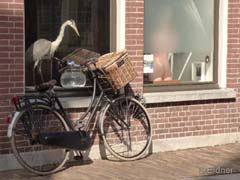 15_P1150135_Dordrecht