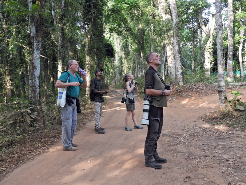 01_DSCN3028_Orni-Kleingruppe