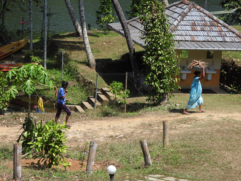 03_DSCN4213_Birds-Murmur-Thattekad