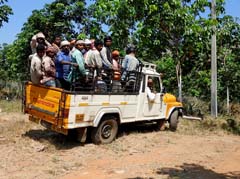 02_DSCN4186_Ananasernte