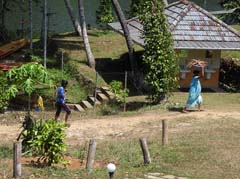 03_DSCN4213_Birds-Murmur-Thattekad