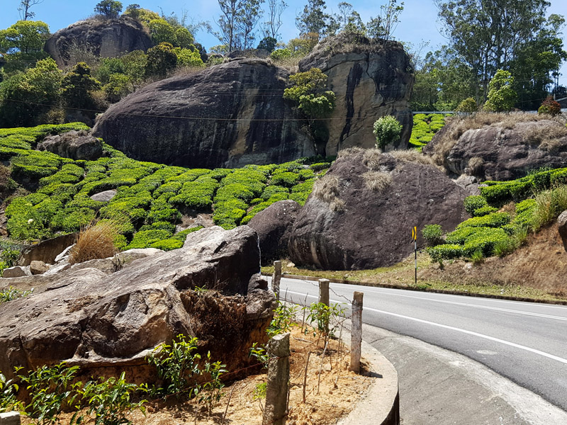 06_20240302_121810_Tee_Felsbrocken