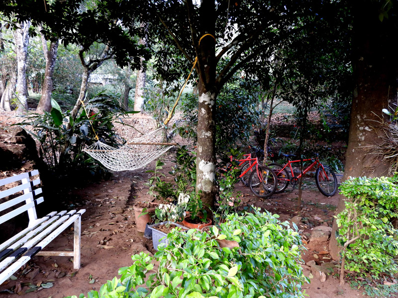 09_DSCN6727_Ambady Estate