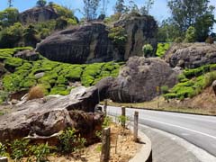 06_20240302_121810_Tee_Felsbrocken