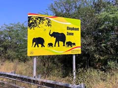 07_IMG-20240304_Warnschild-Elefanten