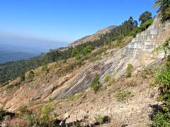 15_DSCN6367_Pieperhabitat