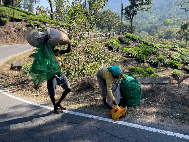 02_Petras-Fensterfoto_IMG_0947_Tee