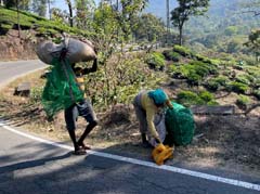 02_Petras-Fensterfoto_IMG_0947_Tee