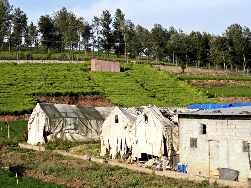 09_DSCN7947_Landwirtschaft