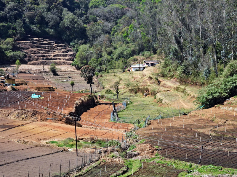 14_DSCN8618_Landwirtschaft