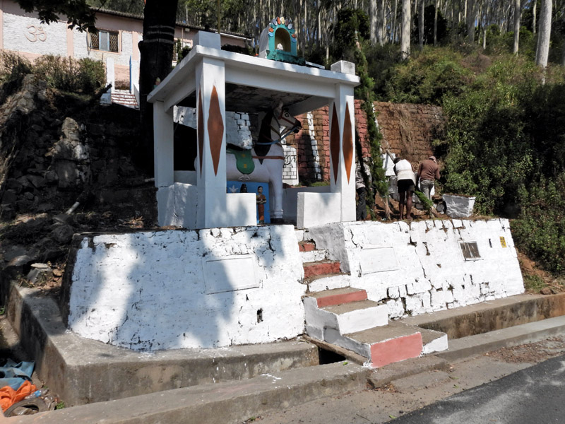 15_DSCN8650_einfach so