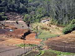 14_DSCN8618_Landwirtschaft