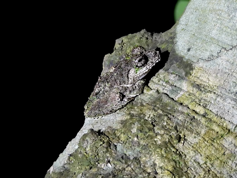 12_DSCN2601_unbestimmt