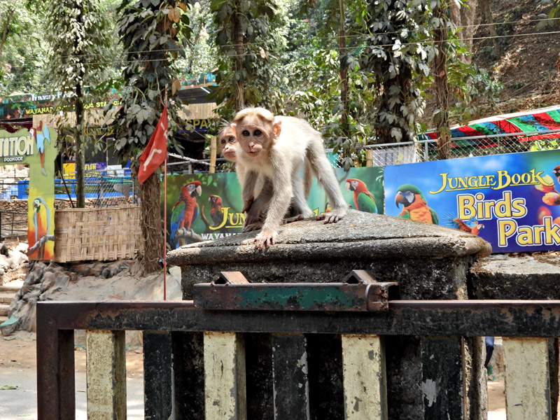 16_DSCN3051_Vogelpark