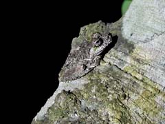 12_DSCN2601_unbestimmt