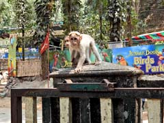 16_DSCN3051_Vogelpark