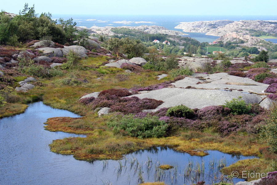 11_CD_412_0608_Schaeren-nahe-Vetteberget