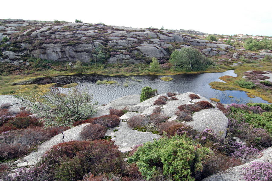 12_CD_412_0419_V2_Schaeren-nahe-Vetteberget