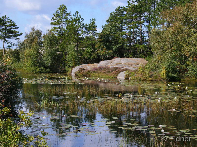 13_CD_412_0998_Barrevik