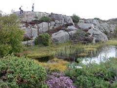 03_P1260184_Schaeren-nahe-Vetteberget