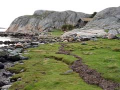 07_CD_411_0473_HI-Saeby-Tjoern