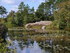 13_CD_412_0998_Barrevik