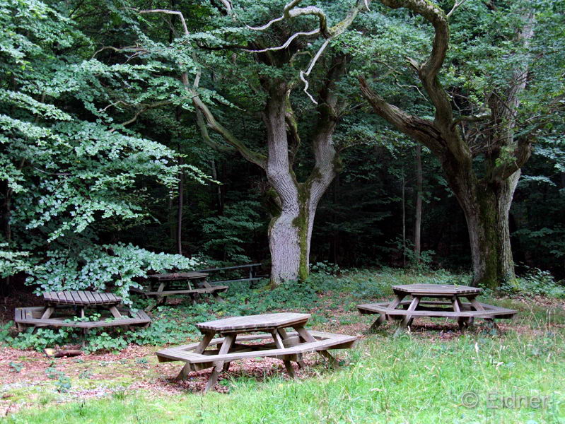 01_CD_413_0762_Ulvshale-Wald