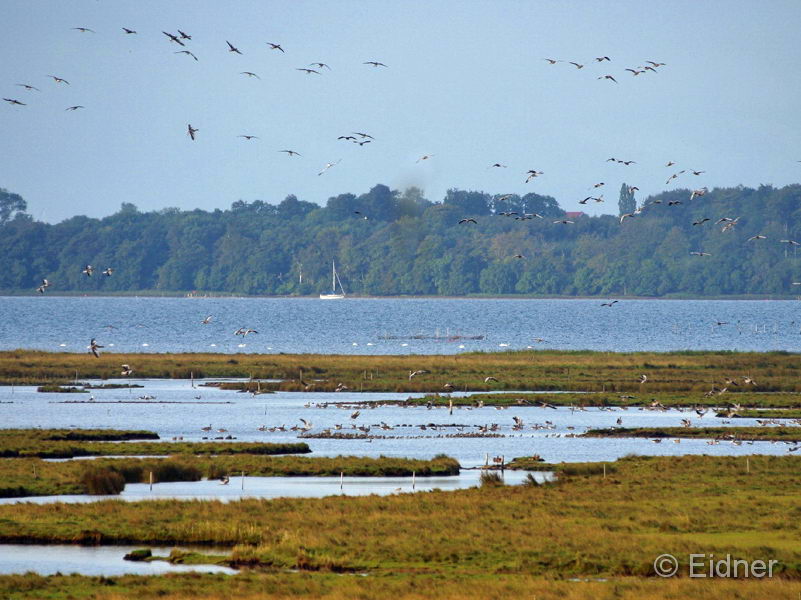 03_IMG_4870_Nachbarinsel-Nyord 