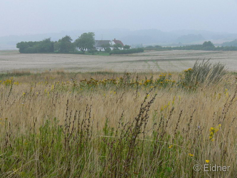 04_P1270057_Inselmitte