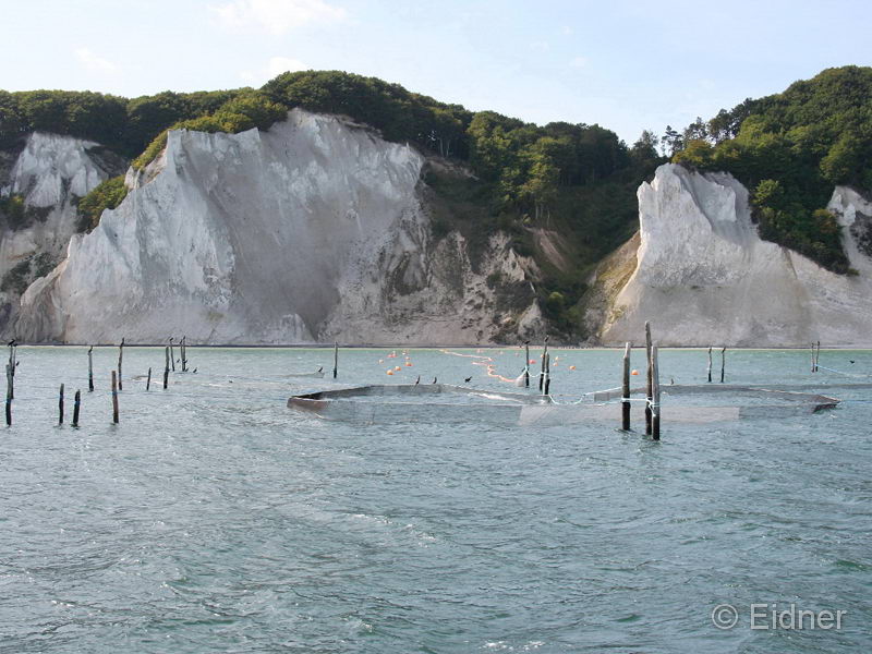 05_CD_415_0530_Kreidefelsen