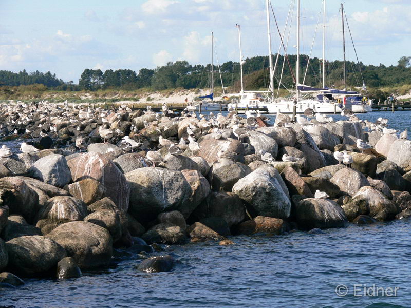 07_P1270591_Klintholm-Havn 