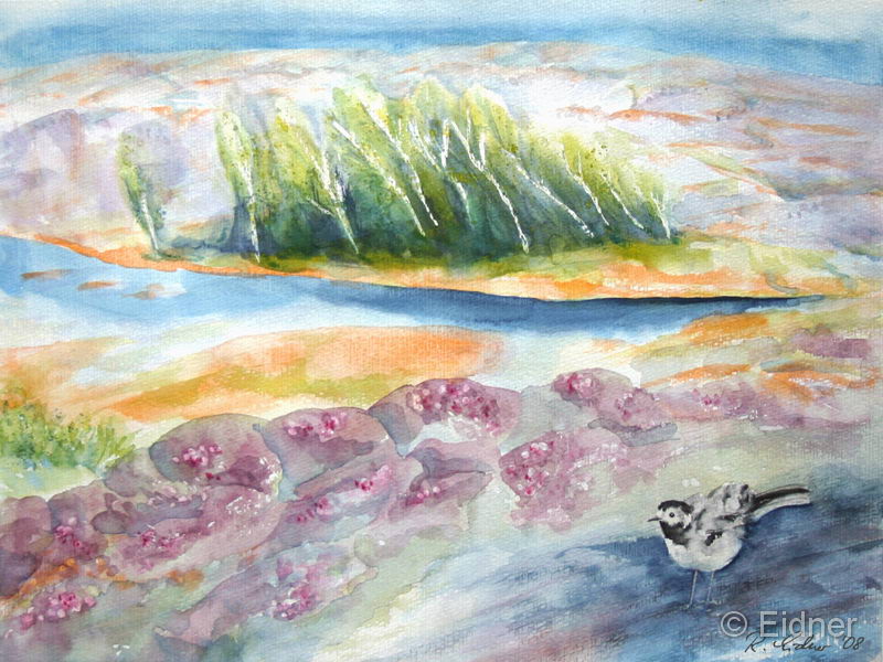 2008_03_RE_Aquarell_Heide-und-Bachstelze-auf-Schären