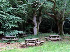 01_CD_413_0762_Ulvshale-Wald