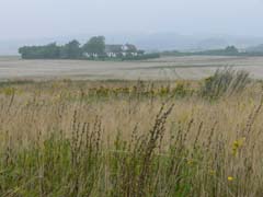 04_P1270057_Inselmitte