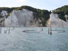 05_CD_415_0530_Kreidefelsen