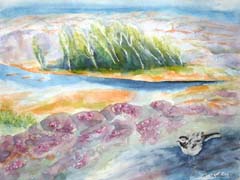 2008_03_RE_Aquarell_Heide-und-Bachstelze-auf-Schären