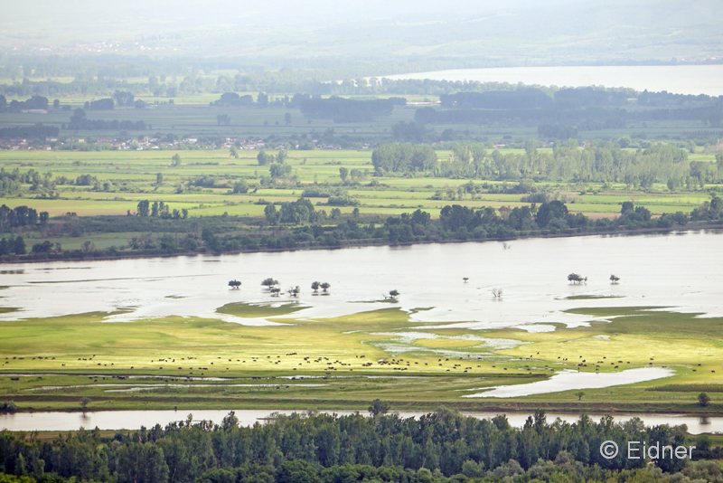 14_DSC07831GR_Strimonas-Muendung