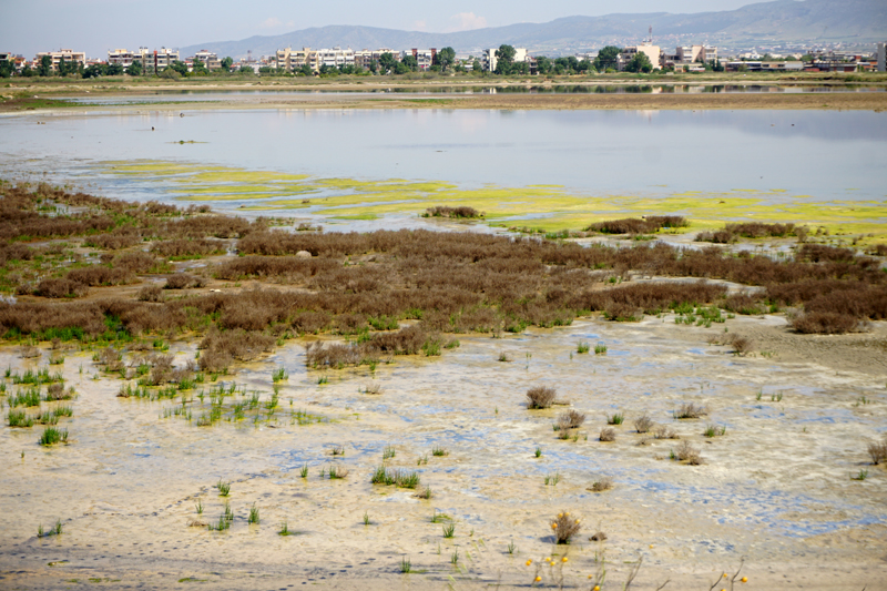 01_DSC08568_Lagunen-von-Kalochori 