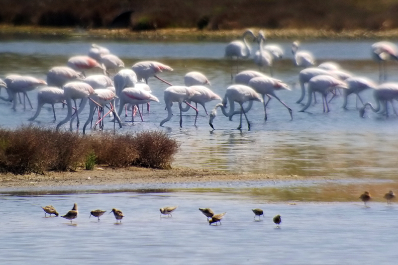 04_S8-Phonescoping_Lagunen_Mix