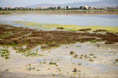 01_DSC08568_Lagunen-von-Kalochori 