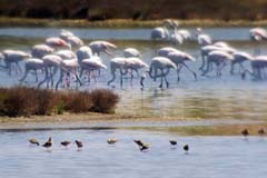 04_S8-Phonescoping_Lagunen_Mix