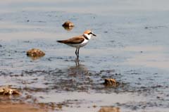 10_IMG_0916_Lagunen_Seereg