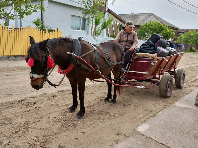 04_IMG_20260521_062840623_HDR
