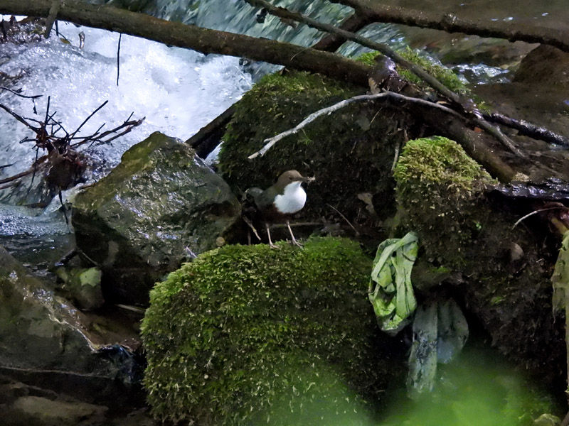 20_DSCN4171b