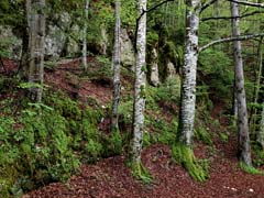 08_20260523_104102ab