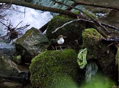 20_DSCN4171b